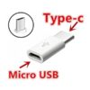 convertitore-micro-usb-type-c